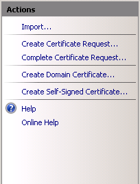 Wildcard certificaat iis